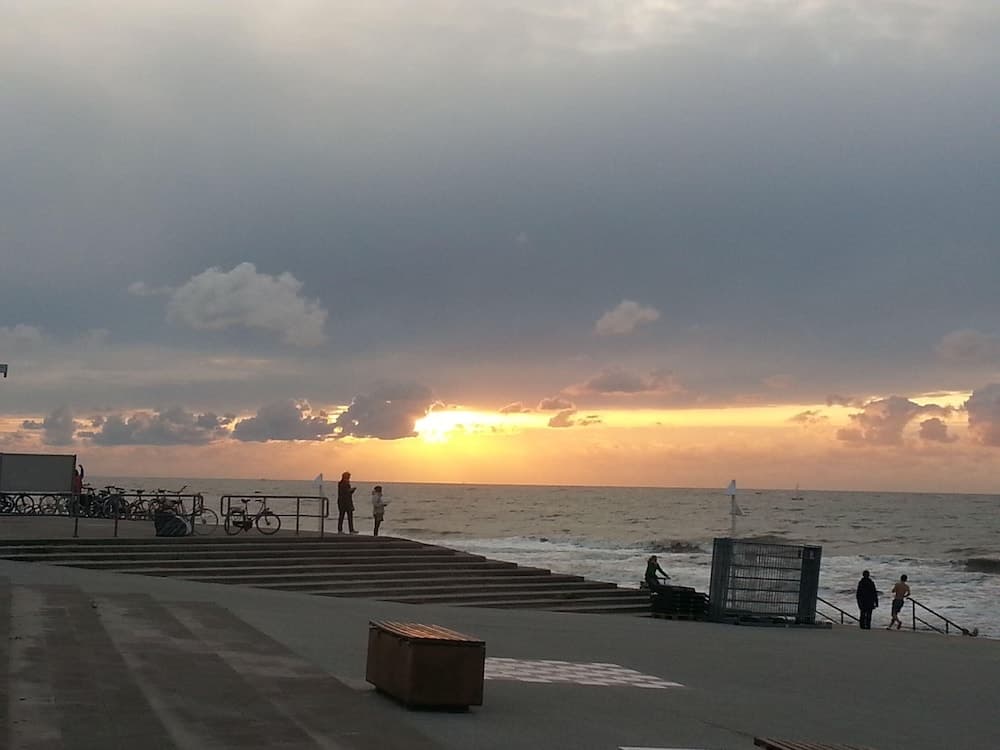 Ferienwohnung "silberdiestel"