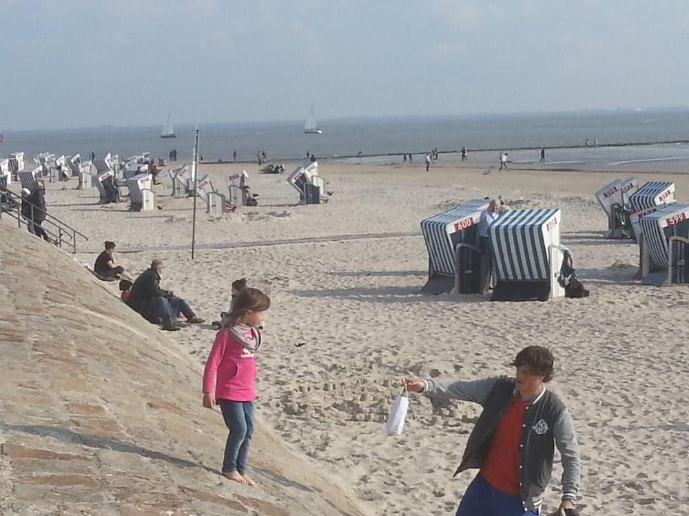 Ferienwohnung "silberdiestel"