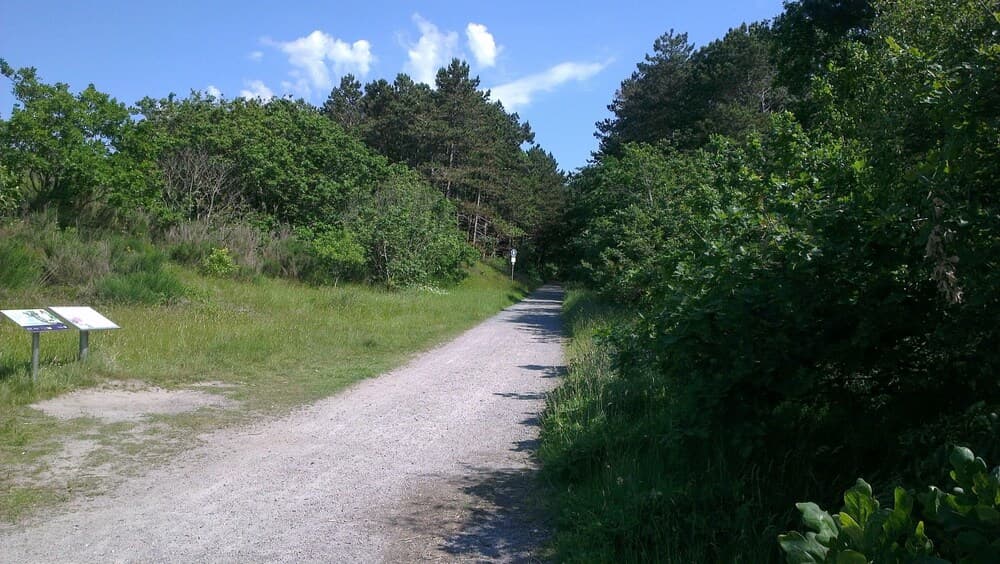 Ferienwohnung 1 im "sahlenburger Ferienhaus"