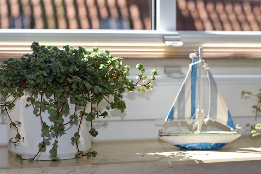 Ferienwohnung Sonnenblume