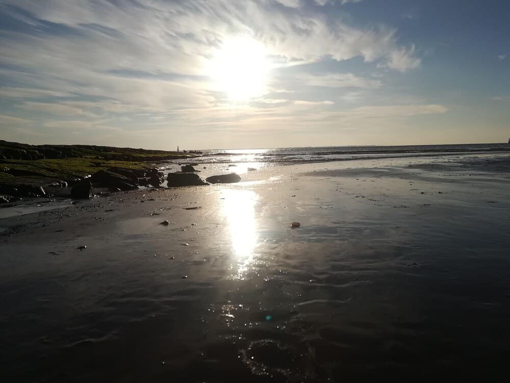 Ferienwohnung "dünenrose"