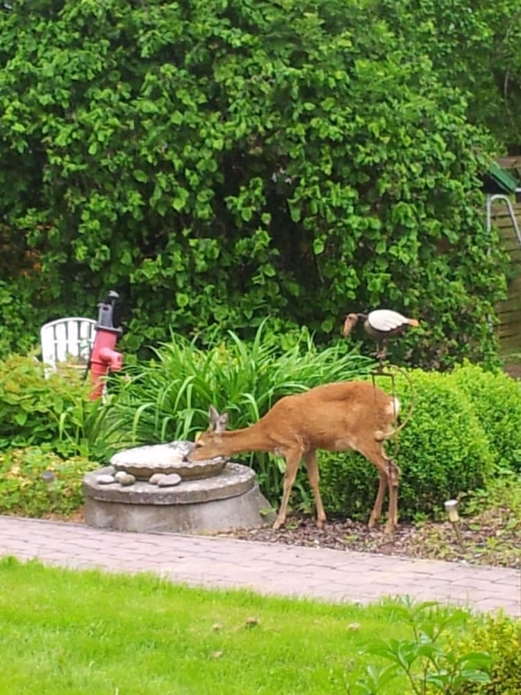 Ferienwohnung Möller