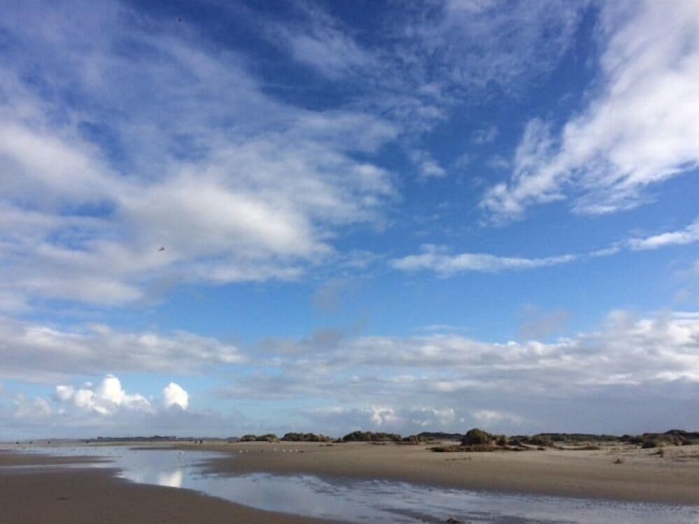 Ferienwohnung "silbergras"