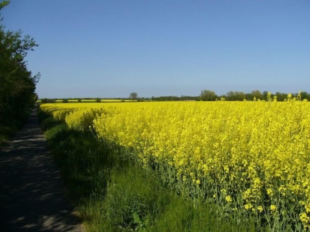 Ferienwohnung Wieske