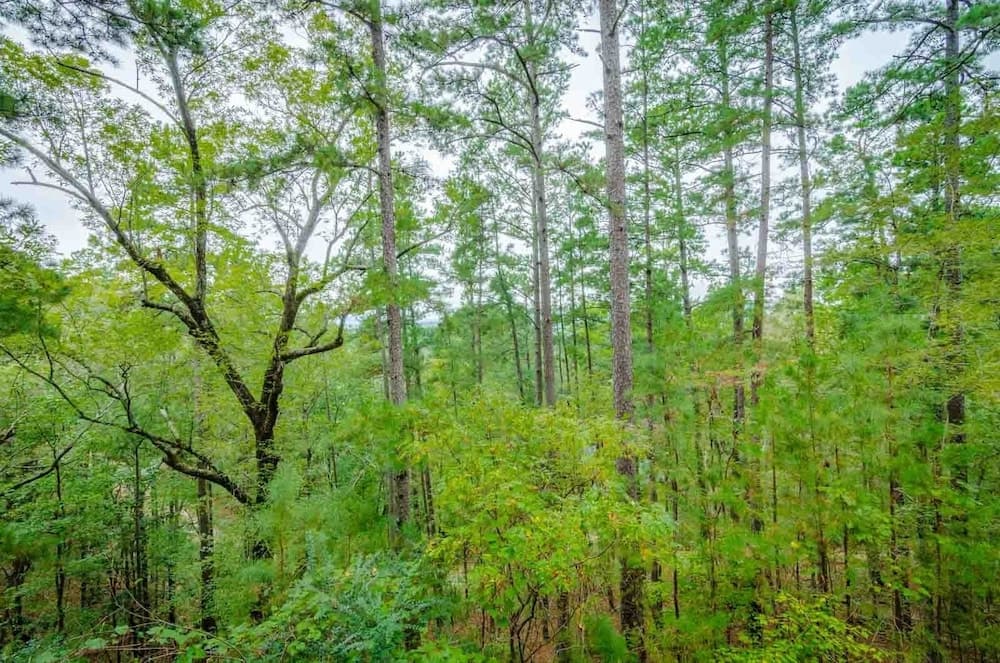 Ridgeview Retreat Seclude Cabin Includes Wifi, Cable, and Charcoal Grill by Redawning