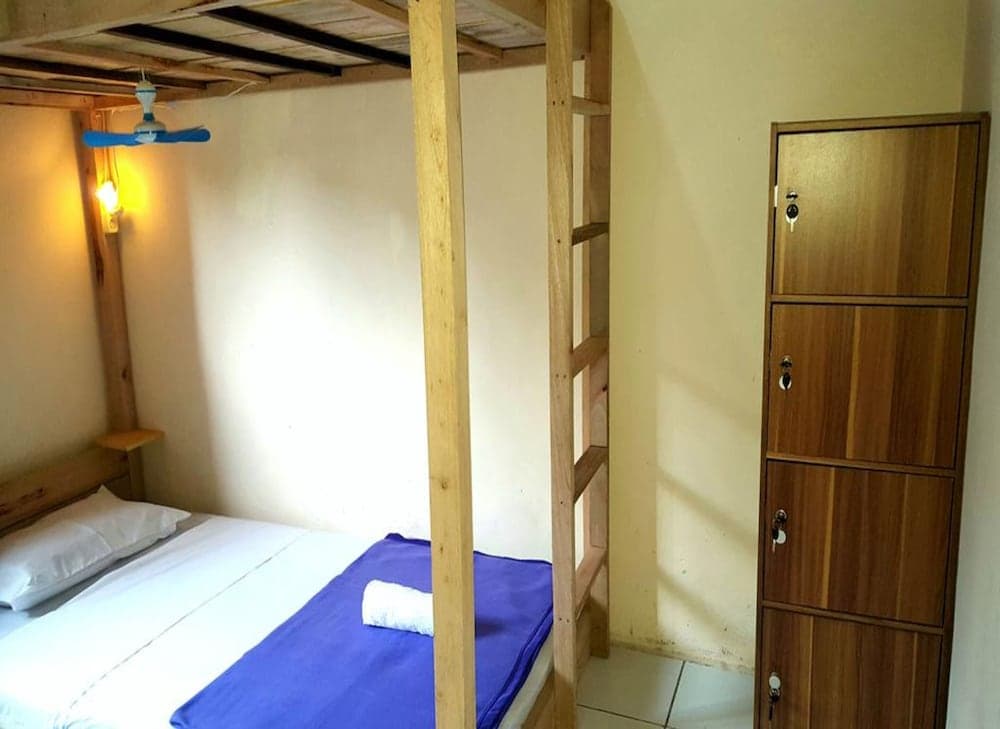 Dodo Dormitory Backpacker