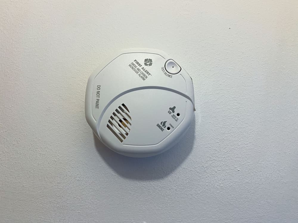 Sézane's Lodges: shared home - not hotel - in museum district