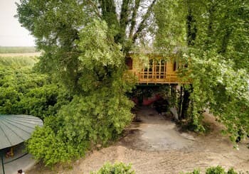 Orangia Ecohosting Farm