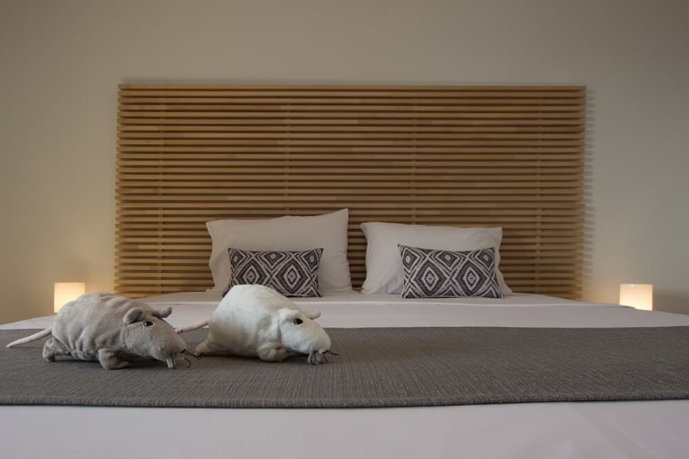 Golden Coast Boutique - Luxury Living