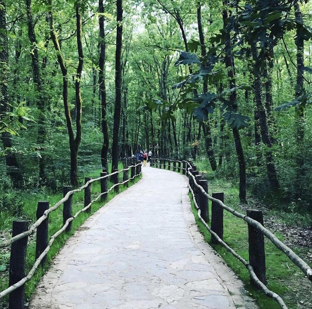 Arteria Family Residence & Suit Hotel