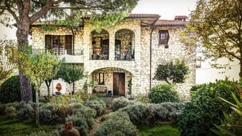 Girasole-rolling Hills, Sunflowersfamily Friendly