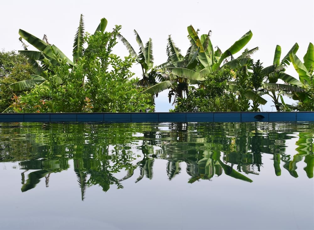 Hosteria Ariq Yaku - Chachimbiro