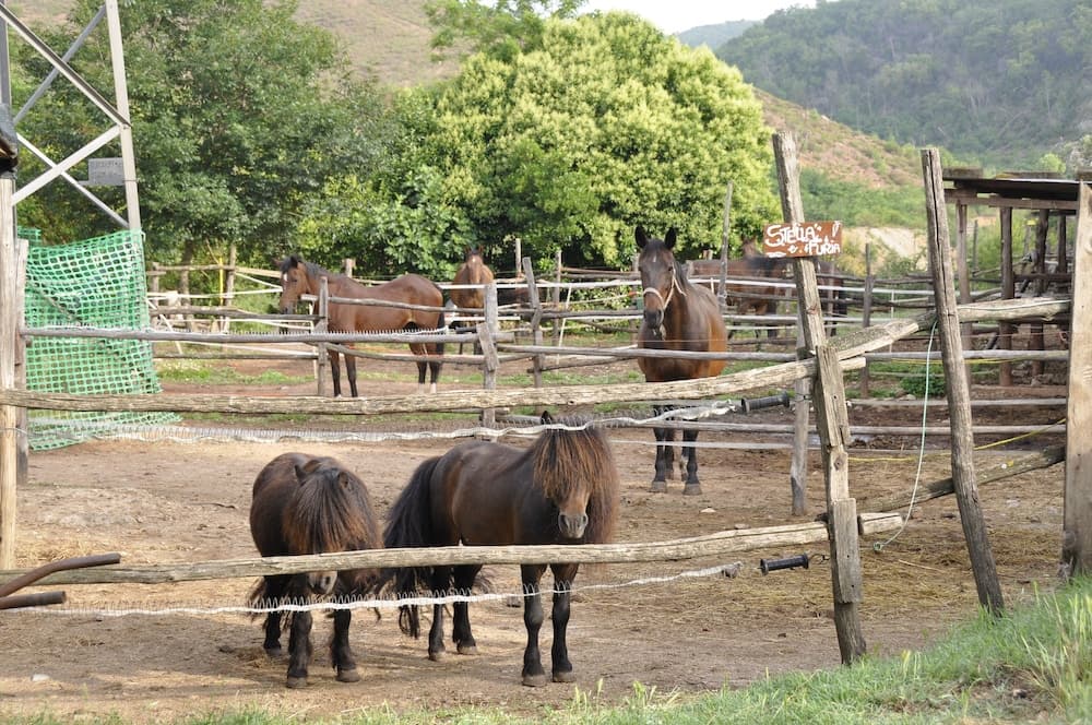 Tuscan Rustic Apartment
