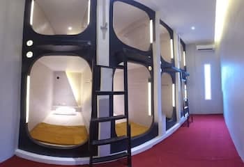 The Packer Box - Hostel