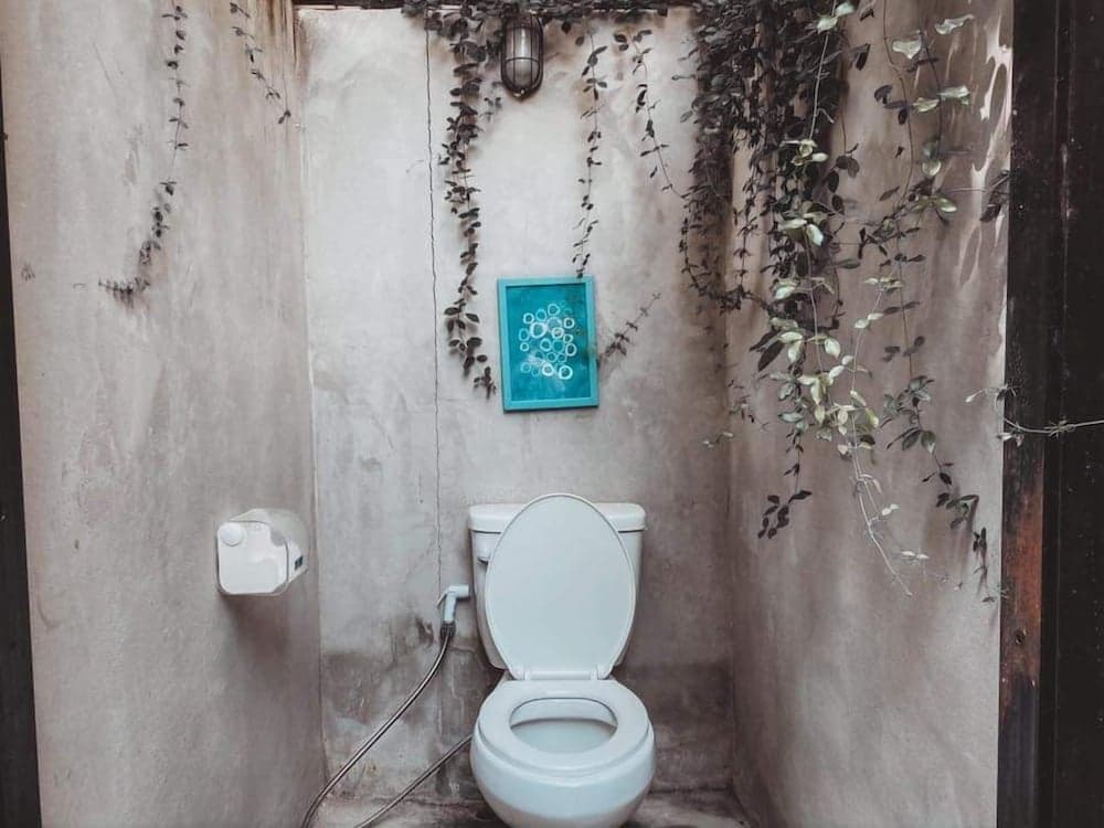 Rewild Camp And Cafe