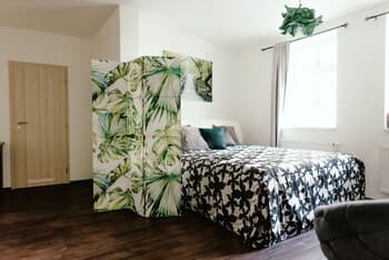 Apartments Zelny Trh I