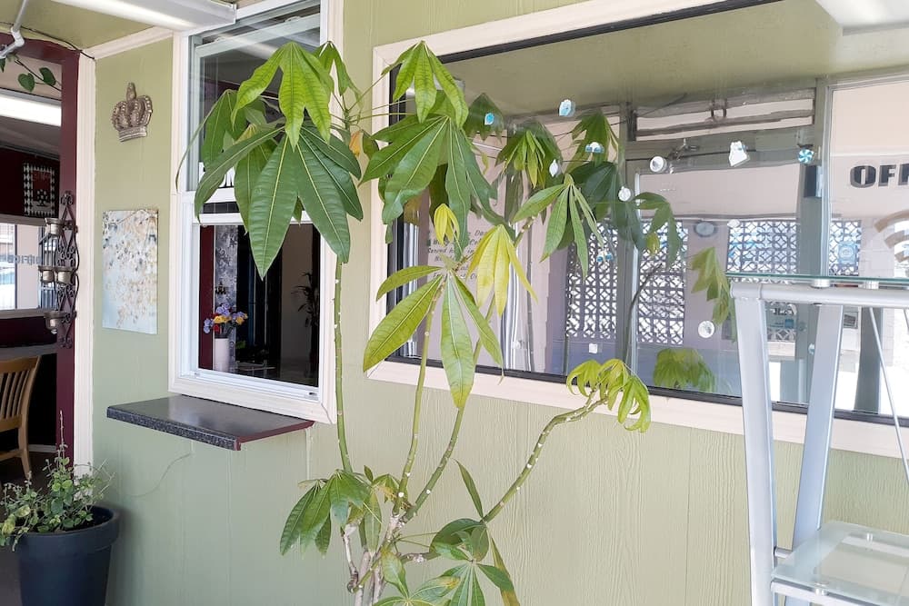 OYO Hotel Kings at Clovis