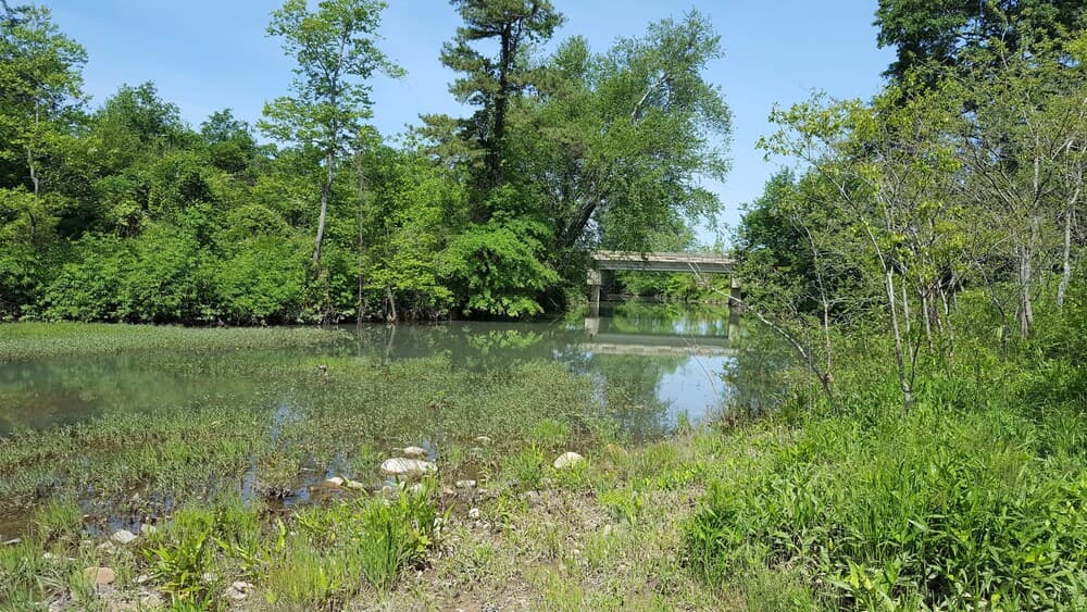 Sierra Escape Cabin With Fire Pit and Charcoal Grill by Redawning