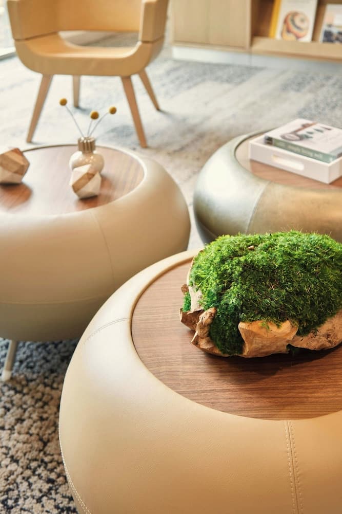 Element Asheville Downtown