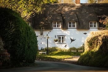 The Brace of Pheasants