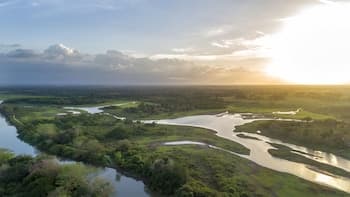 Natural Lodge Caño Negro