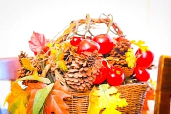 Eden Park Guest House