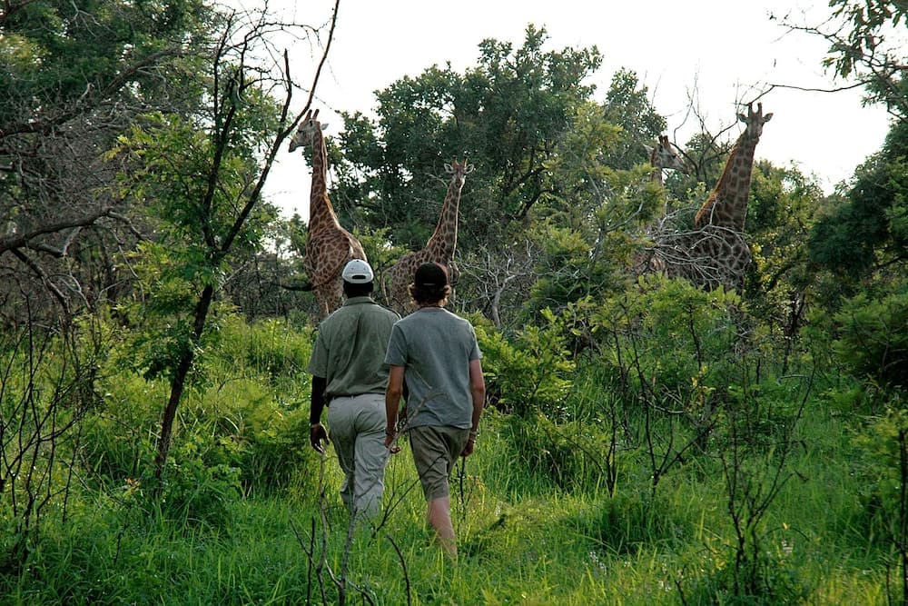 Kingfisher Bush Camp