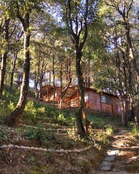 Aamod Resort - Shoghi