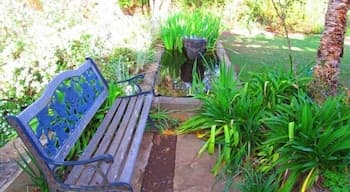 Top House Bed & Breakfast