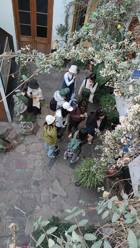 Holistic Scandinavia House