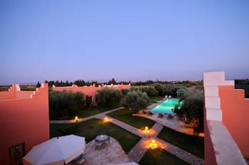 Les Oliviers de L Atlas