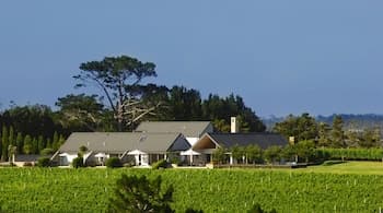 Takatu Lodge and Vineyard