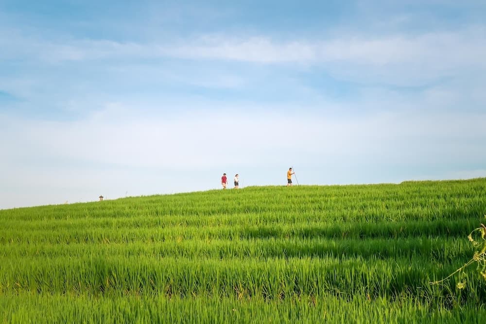 Soka Indah Restaurant & Bungalows