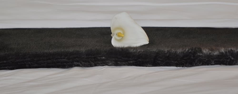 The Highlander Hotel