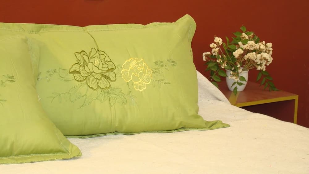 Posada Casa de Borgoña