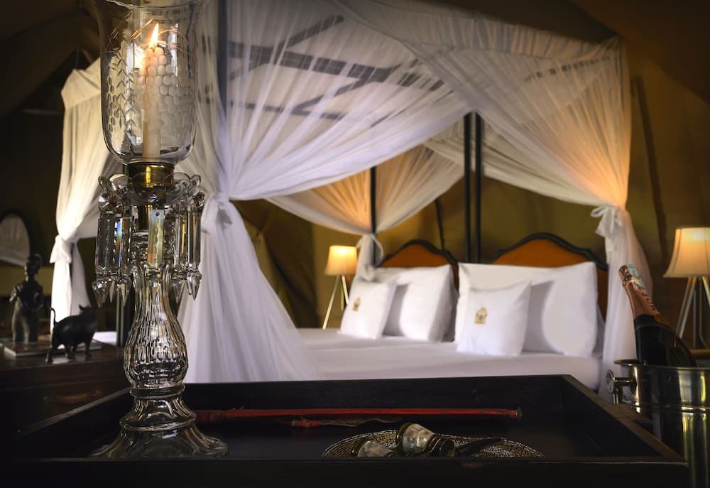 The Royal Migration Camp