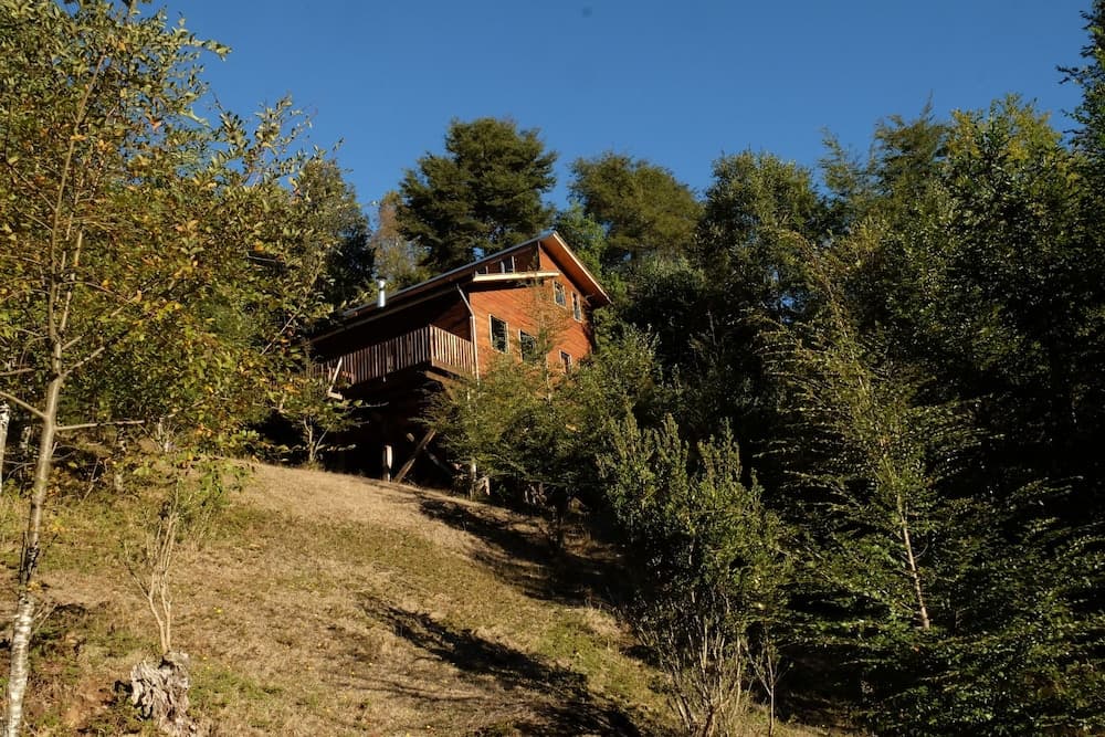 Entre Pampa y Bosque
