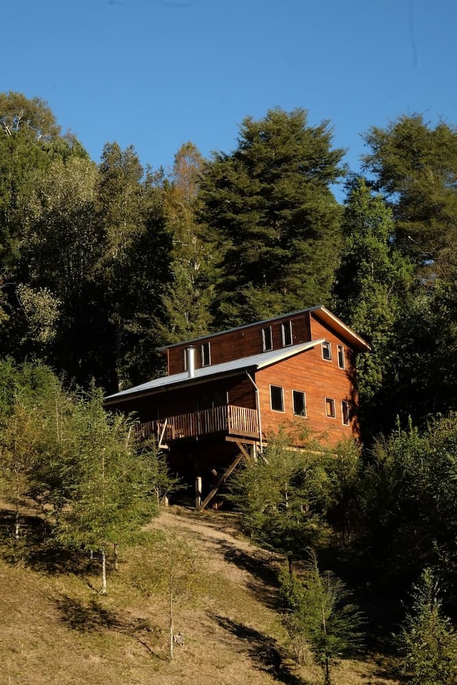 Entre Pampa y Bosque