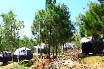 Bukit Lintang Sewu Domping