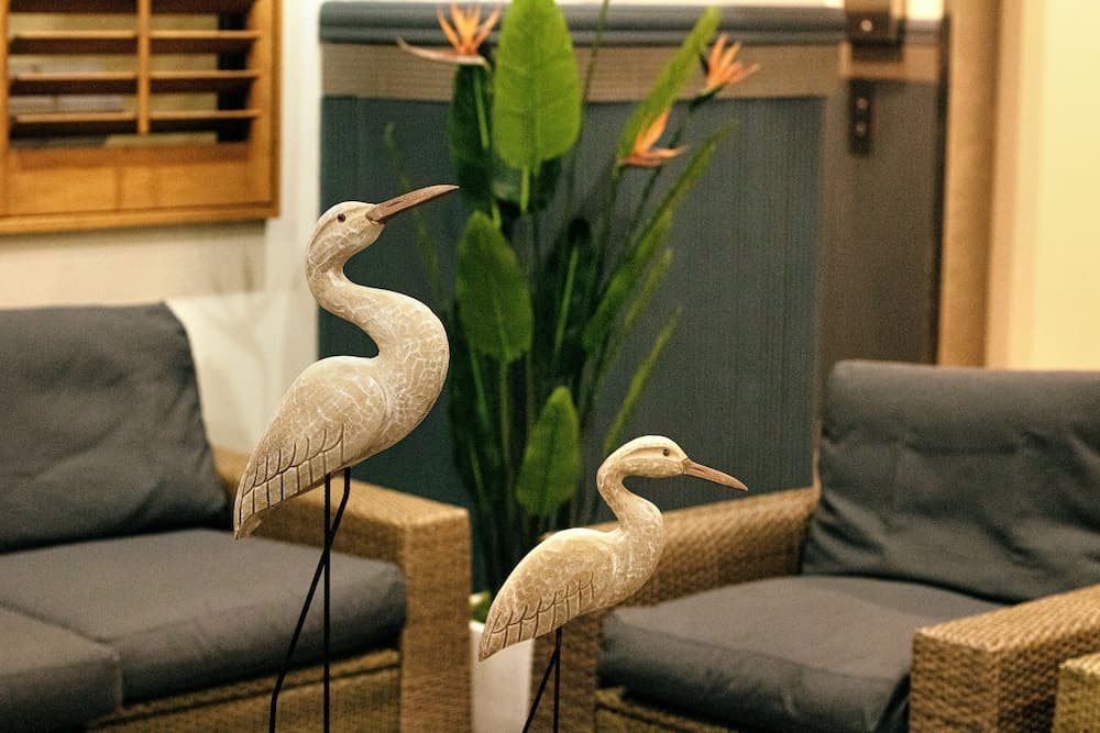 515 Studio Hollywood Beach