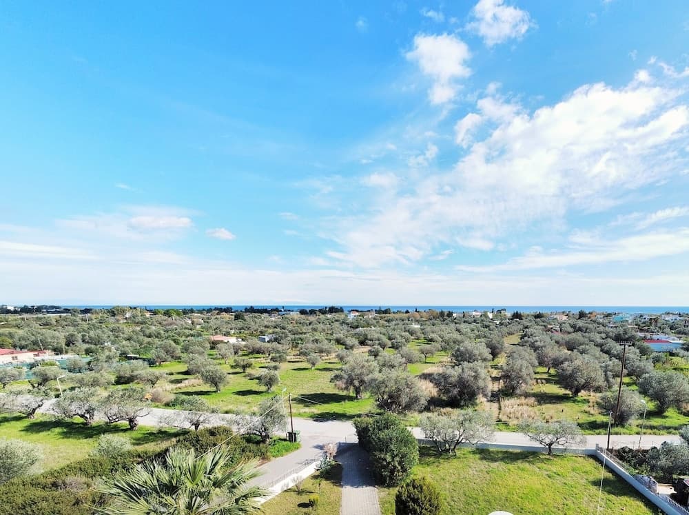 Villa Olive Grove,superior Studio