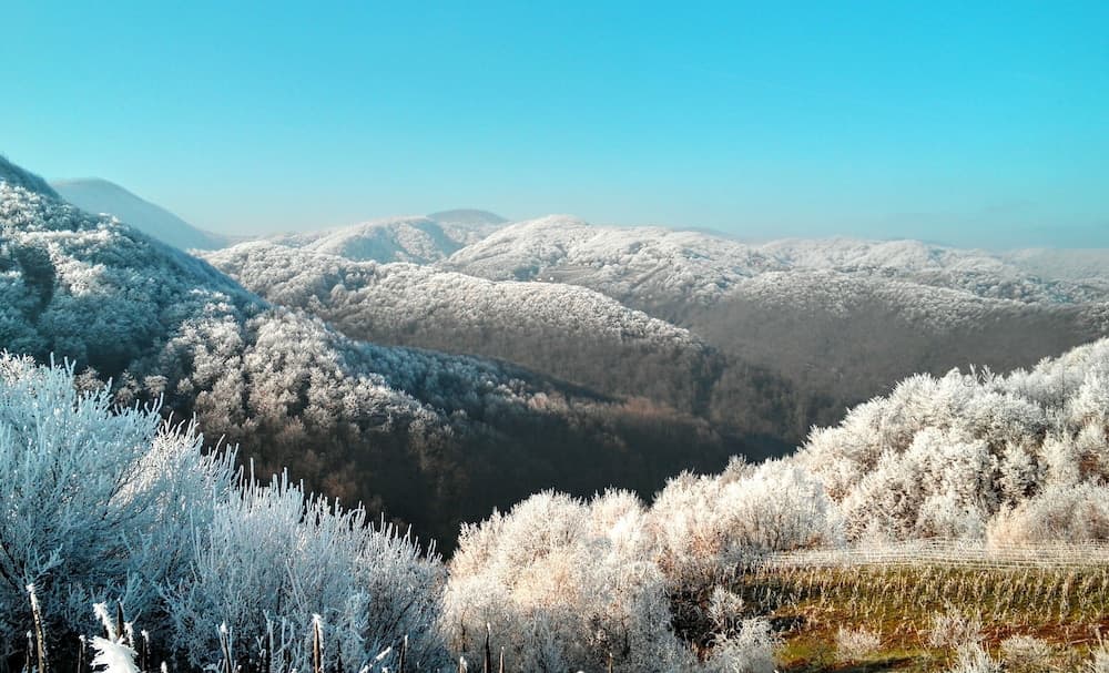 Room in Studio - Vacation in Croatia's Countryside