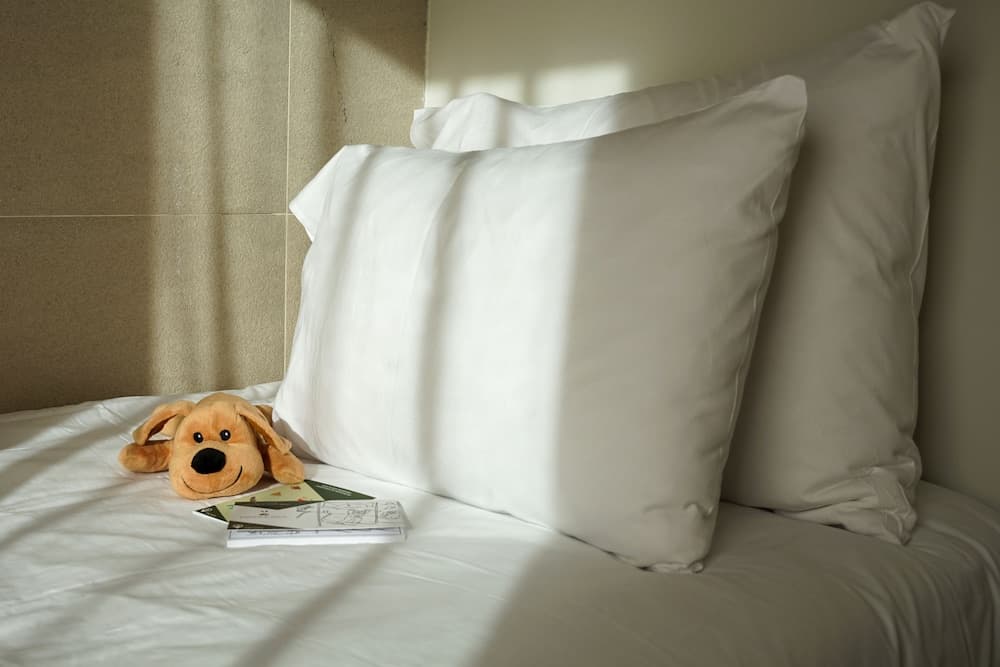 Hôtel Le Diamond Rock