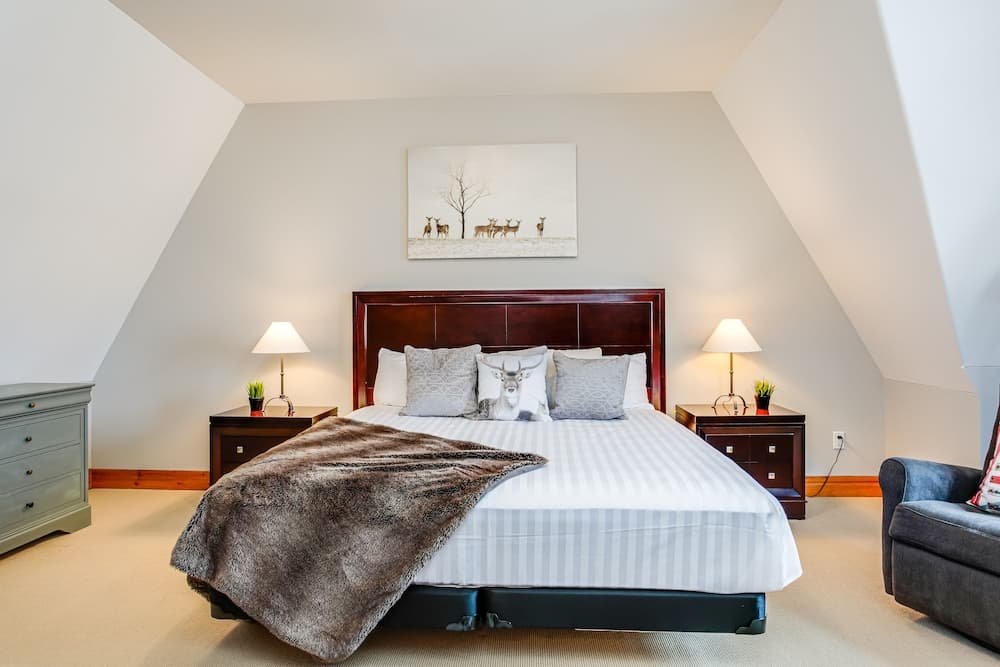 Historic Snowbridge Townhomes