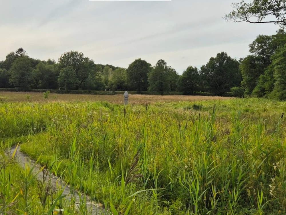 4 Person Holiday Home in Hovborg-by Traum