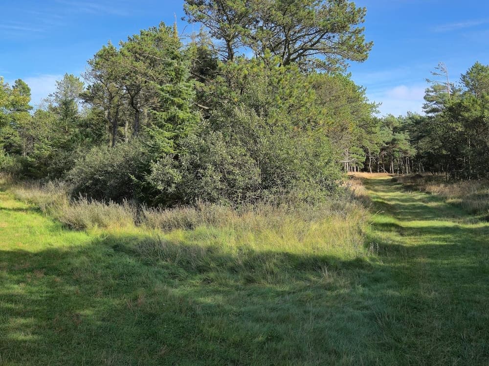 4 Person Holiday Home in Romo-by Traum