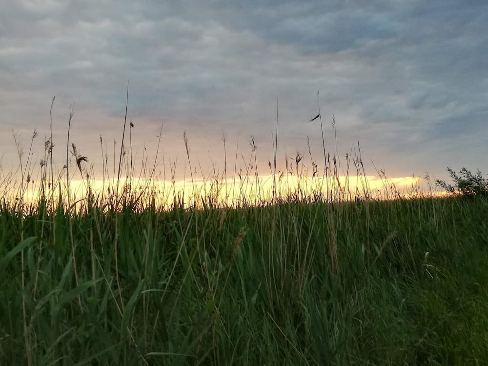 Modern Seaside Retreat - By Traum Ferienwohnungen