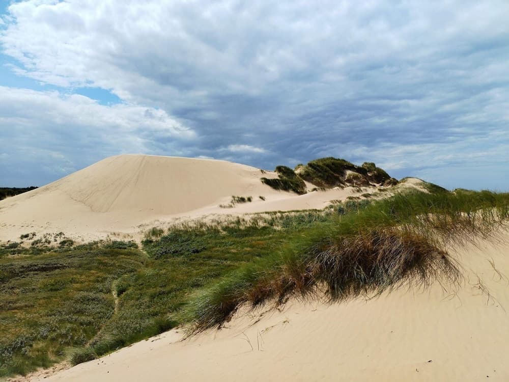 8 Person Holiday Home in Lokken-by Traum