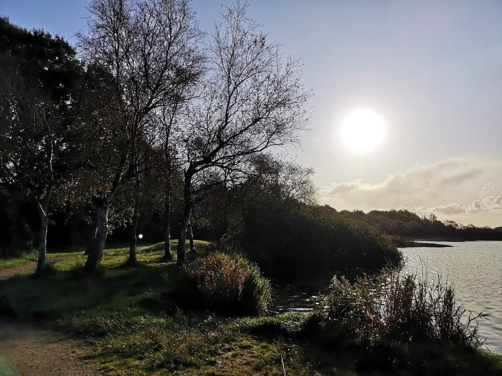 6 Person Holiday Home in Ansager-by Traum