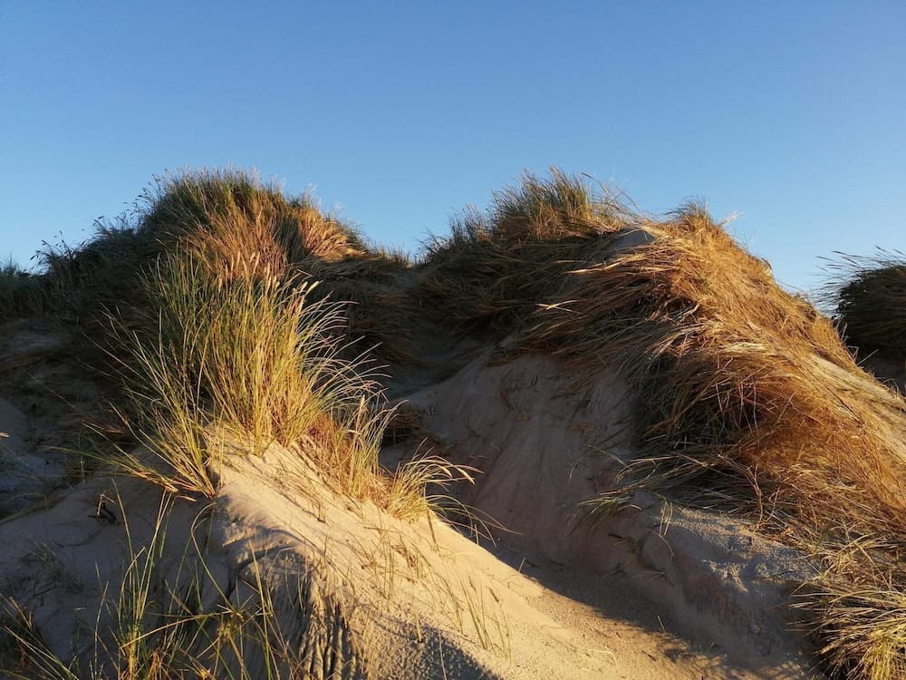 Scenic Holiday Home in Søndervig near Sea